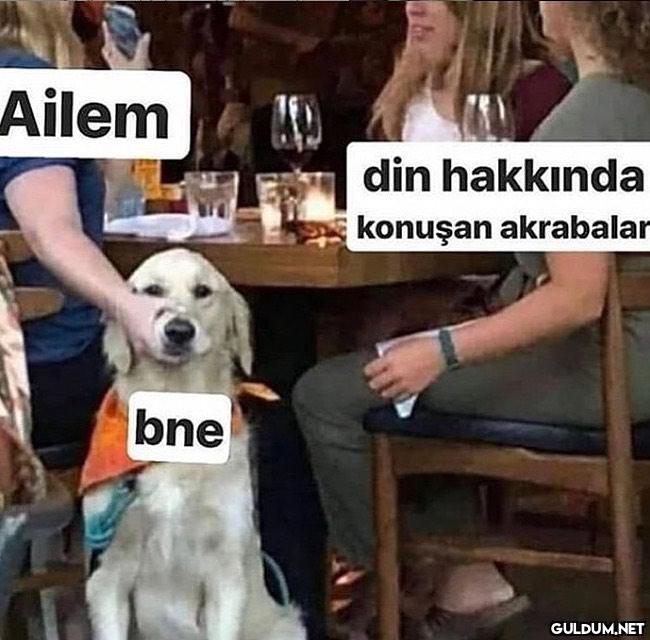 " Ailem din hakkında...