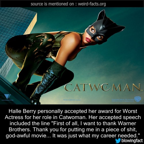 mindblowingfactz:    Halle Berry personally accepted her award for Worst Actress for her role in Catwoman. Her accepted speech included the line “First of all, I want to thank Warner Brothers. Thank you for putting me in a piece of shit, god-awful movie…