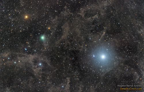 just–space:  Polaris and Comet Lovejoy    : One of these two bright sky objects is moving. On the right is the famous star Polaris. Although only the 45th brightest star in the sky, Polaris is famous for appearing stationary. Once you find it, it