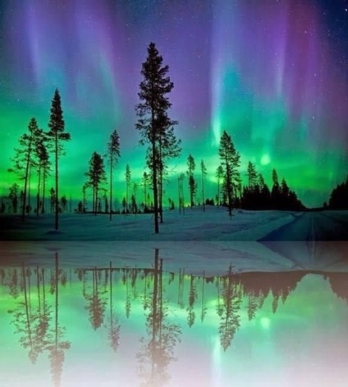 Northern Lights