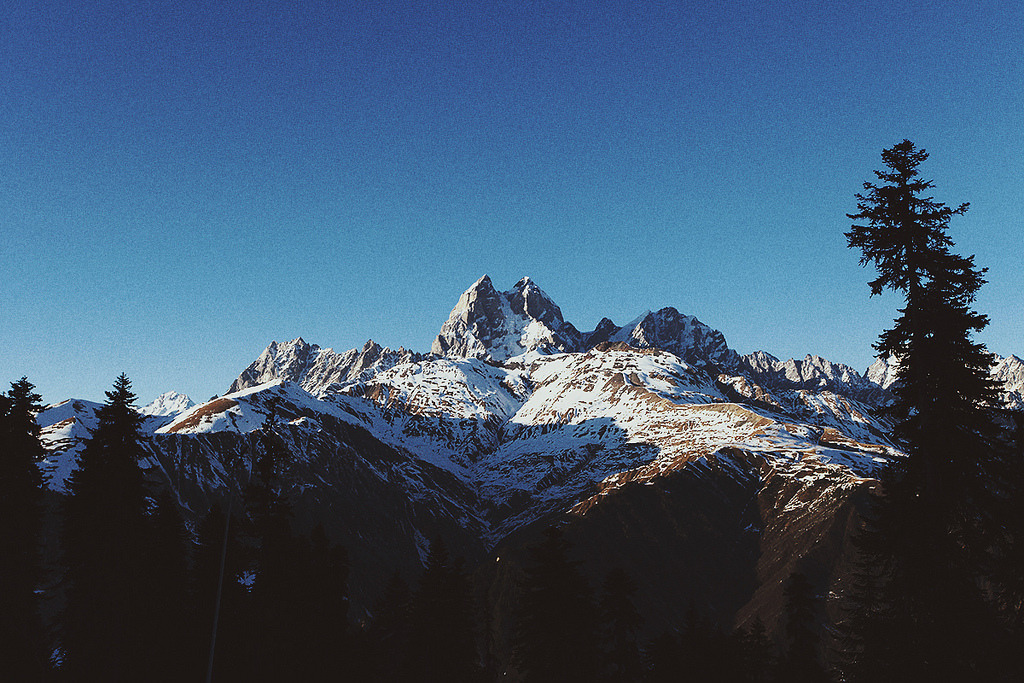 brutalgeneration:  (by Perhaluk Roma)