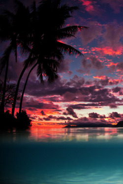 sundxwn:  Tahiti Dreaming by Adam Duffy 