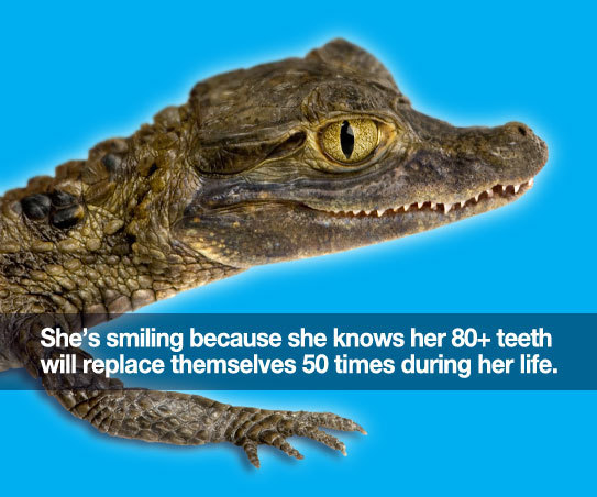 classicmeevs:  imerard:  she knows  im happy for her 