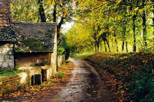 Hampshire, England (by Scott Evans)