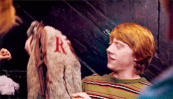 wolfbanged-deactivated20160722:  fangirl challenge: [3/15] pairings↳ ron and