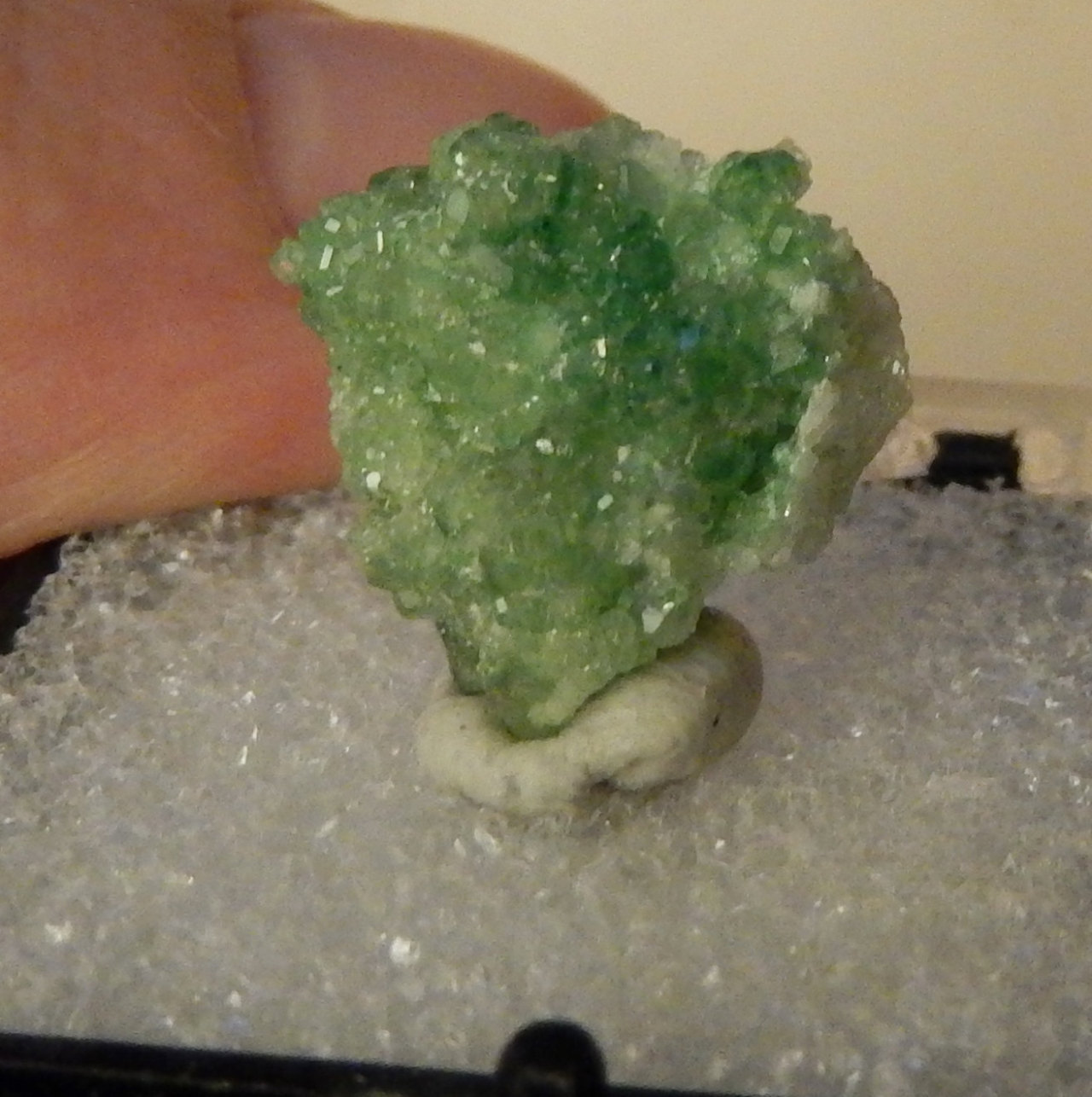 mineralists:  Uvarovite Garnets for ghost-net Sources: http://www.flickr.com/photos/fluor_doublet/, https://www.etsy.com/shop/TheRussianStone, https://www.etsy.com/shop/earthlightgems,
