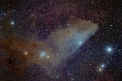 astronomyblog: Blue Horsehead Nebula (a reflection
