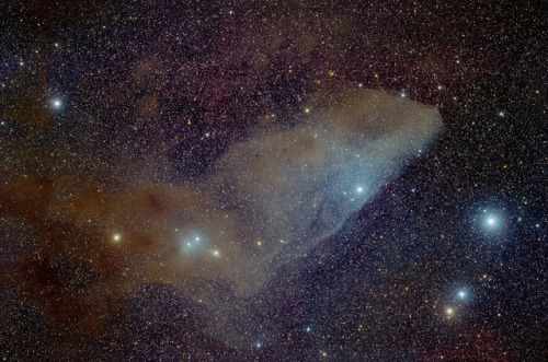 astronomyblog: Blue Horsehead Nebula (a reflection nebula in the Scorpius constellation).    by: Hisayoshi Kato 