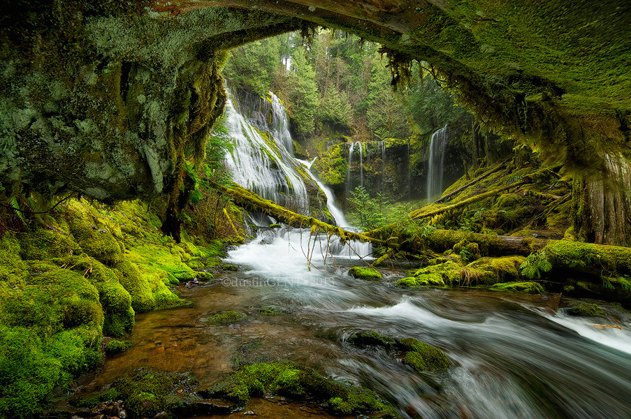 woodendreams:  (by Dustin Gent) 