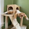 catasters: