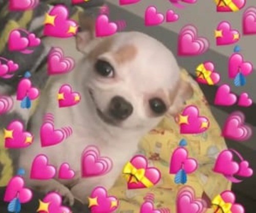 Is There Any Way To Make Your Toji Magically Appear Irl I Love Him So Much :/