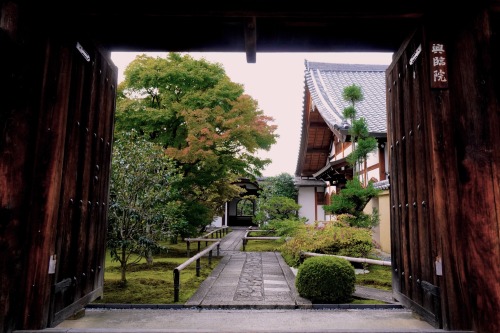 chitaka45:京都　大徳寺　興臨院kyoto daitokuji korin-in temple