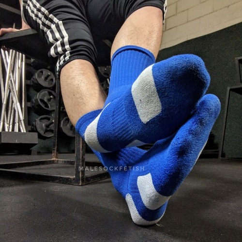 Porn malesockfetish:  Blue gym socks into the photos