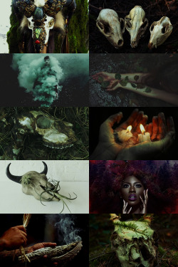 witchystud: moodyhues:   Necrobotany Aesthetic ; requested by @sigardaaah Necrobotany: A form of necromancy that works heavily with nature and plant materials.   ~Dark n lovely ~ 