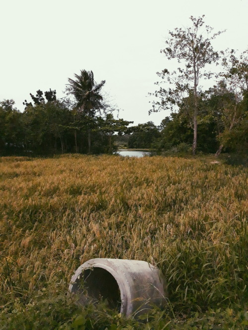 New year sa bukid. Happy new year everyone!