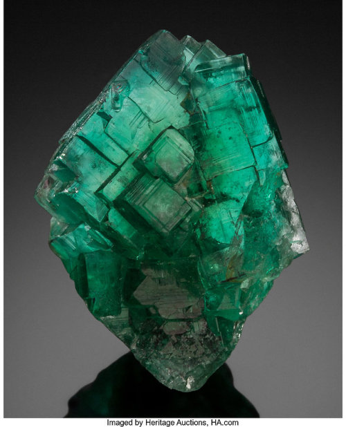 Emerald Green FluoriteLocality: Davib East Farm 61, Karibib District, Erongo Region, NamibiaSize: 3.