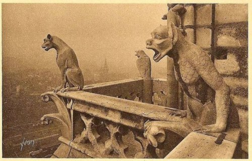 forgetallyouarein80s:Chimera and gargoyles of   Notre Dame de Paris