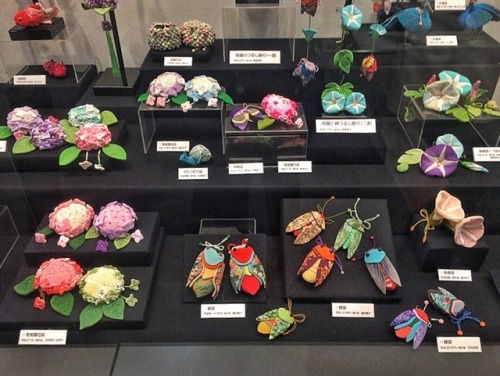 gachimushi: shoku-and-awe: More pictures from the chirimen exhibit! A very summery display of mornin