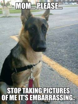 ragnargsd:  Someone memed ragnar! Not sure