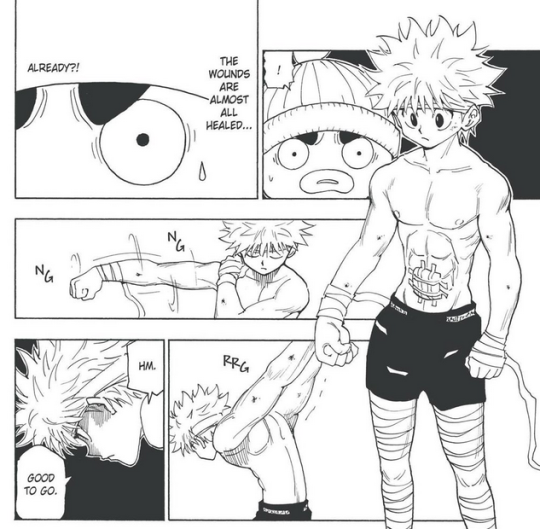 Is Killua and Gon gay????? super confused?????