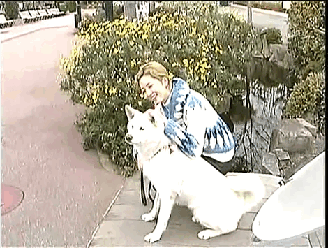 kittychan-sings-enka:A young Sou Kazuho and her dog Koaki!This is from a Sky Stage program broadcast