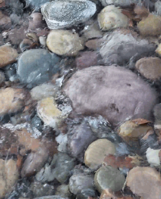tumblr_oget78baMX1vj0ol1o1_540.gifv