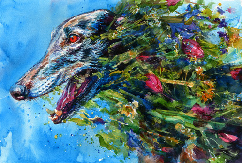 monthofloveart: “Beautiful Zephyr”by Joanna Barnum15″ x 22″Watercolorwww.joa