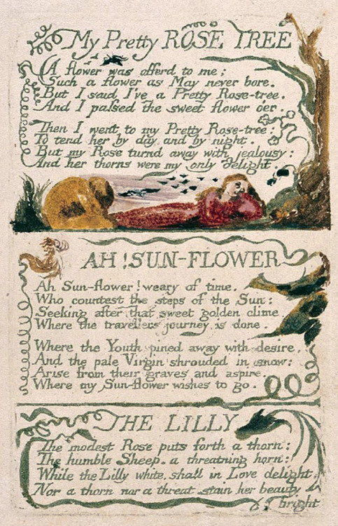 starswaterairdirt:from Songs of Experience, 1794William Blake