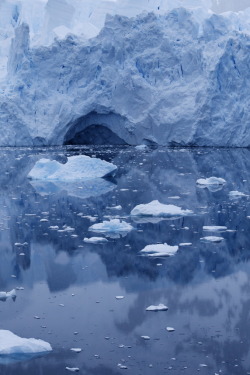decepticun: Glacier in Neko Harbor, Antarctica 