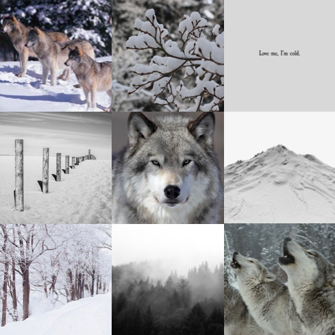 kin-galaxy:Aesthetic for an omega wolf who loves his pack and snow for anon!! I hope