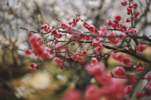 2022-03-13Suncheon Gospel ChurchCanon EOS R3 + RF50mm f1.2LInstagram  |  hwantastic79vivid