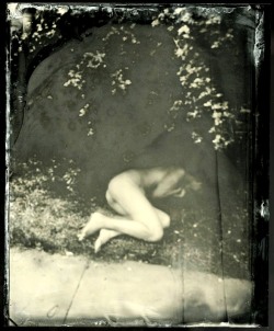 regardintemporel:  Kristen Hatgi - Pinhole