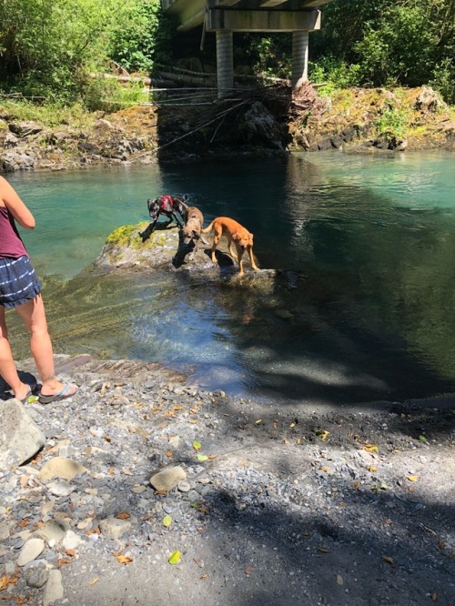 Little adventure out west today , had a great day with @dirtycamo on this gorgeous PNW day