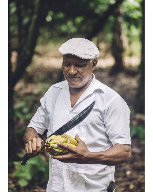 “I have been working in a cocoa plantation since I was a child. But what I like most is eating