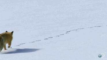tumblr_mx6wzaYJ5w1s4umuxo3_400.gifv