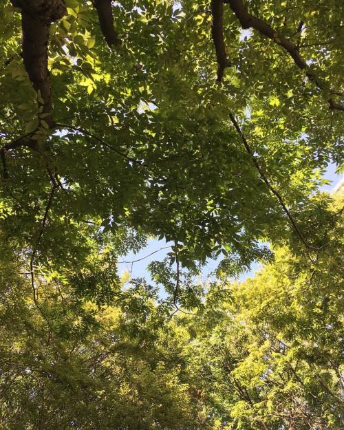 Can You See? #endofsummer #greengreen #holiday #iamhere #SANBON #hometown # #Korealife (at 12 )