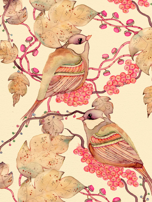 dreamlikeinsomnia:   