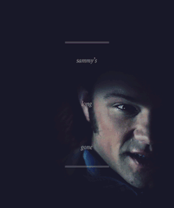 ruedesarchives:   Sammy’s long gone.  -&gt; requested by Laurie 