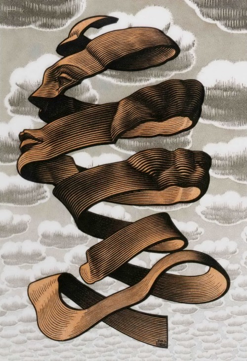 artist-mcescher: Rind, 1955, M.C. Escher