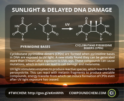 compoundchem:  A study this week found that DNA damage as a result of UV rays can occur hours after sun exposure.Featured in ‘This Week in Chemistry’.