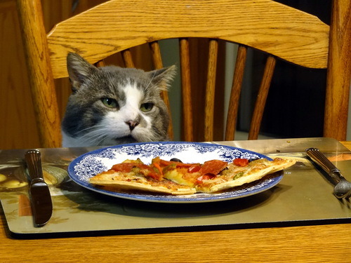 What? Pizza, again? If I have to….(via Veravica)