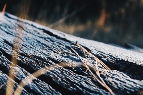 Frosty mountains. Prescott, Arizona. Anna Xenitelis, 2015.