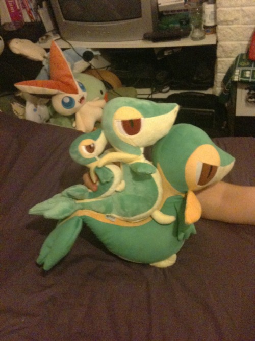 Snivy party