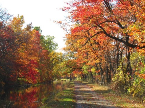 If you live anywhere close to Walnutport and can walk the canal path, then all I can say is, why are