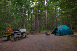 The Campsite