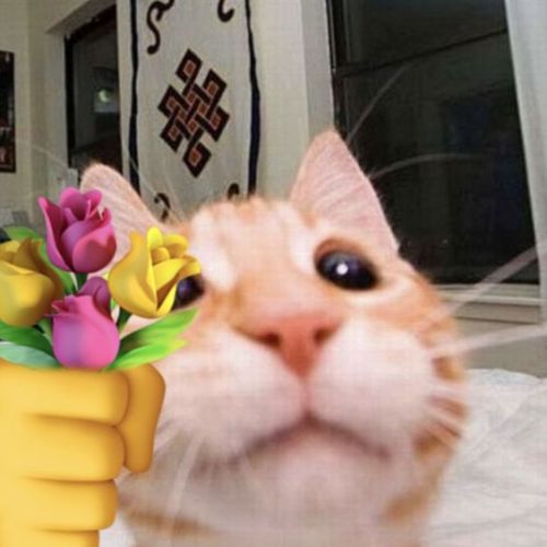 Sincerely, Genuinely, Literally So Grateful For All The People Keeping Track Of Mods Being Updated/fixed,