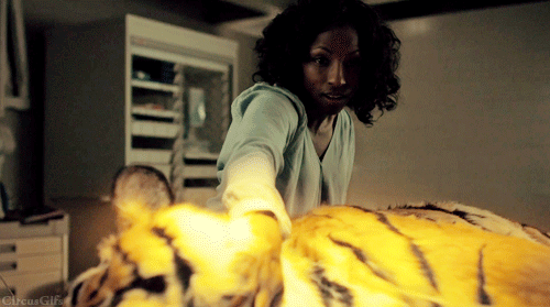 circusgifs:Favourite scene : Francis, Reba & the tigerPart I - Part IIThis scene is very emotion