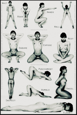 sexslavefantasy:  There are as many positions