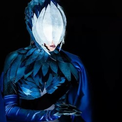 paopurri:  Moar Raven!  Cosplayer: Me! (I hand made every single piece ;~;) Photographer: Francis “Peejay” Santos  Enjoy!