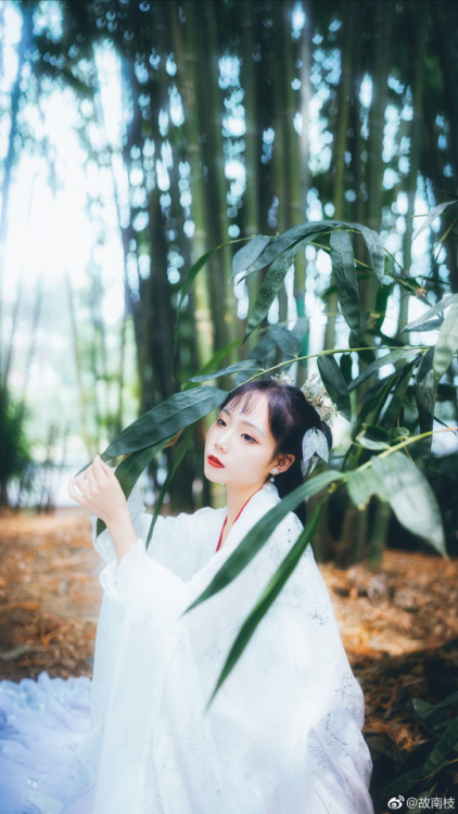 yansanniang:——雀灵@ 故南枝